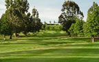 Waitoa Park Golf Club