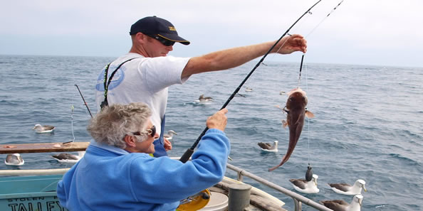 Moeraki Fishing Charters