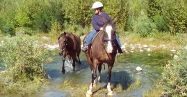 Stoneridge Horse Treks - Waitaki Valley