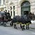 Horse and Carriage rides